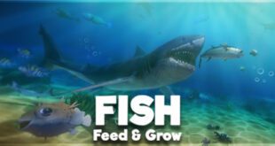 Feed and Grow Fish