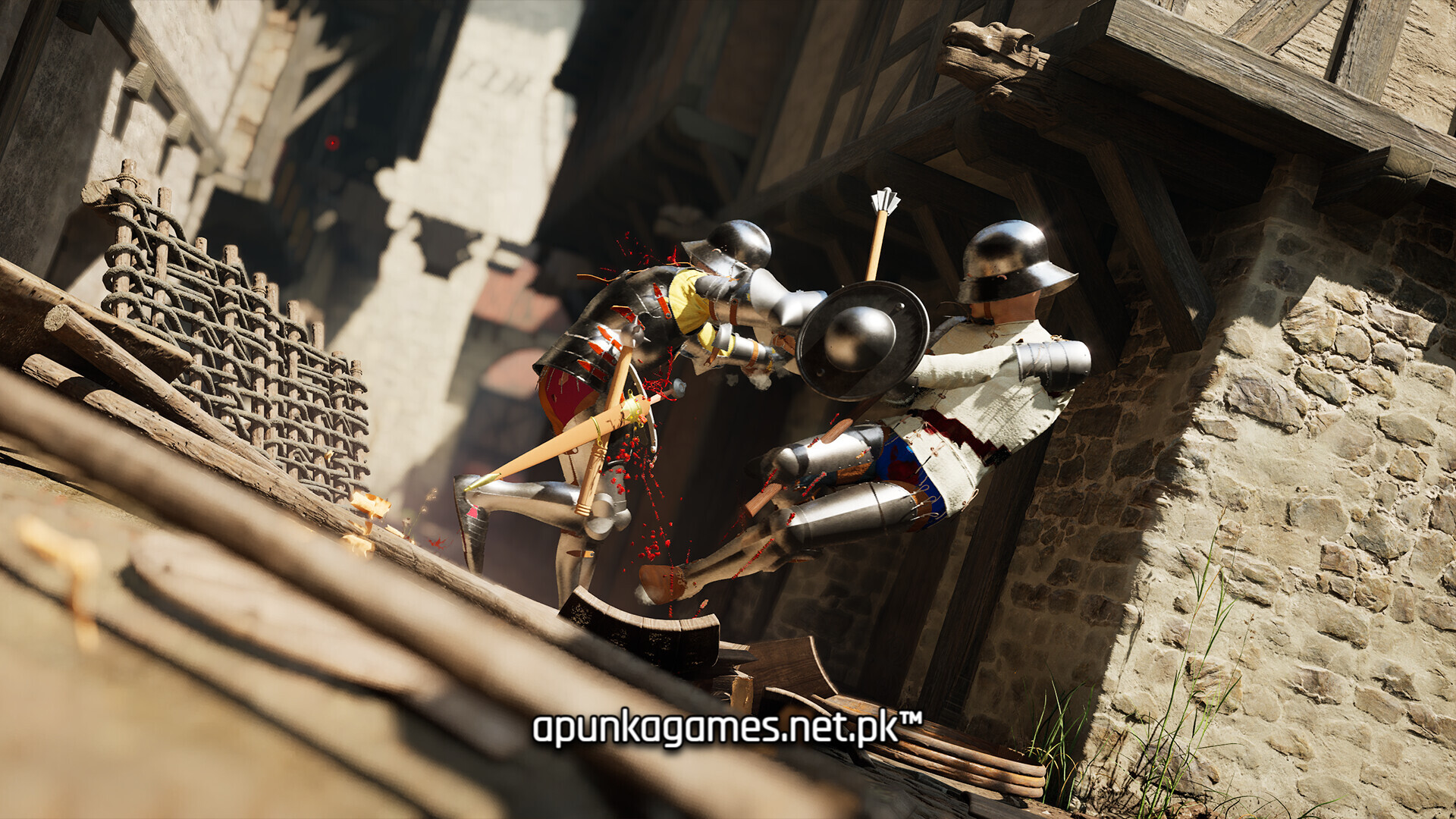 Half Sword