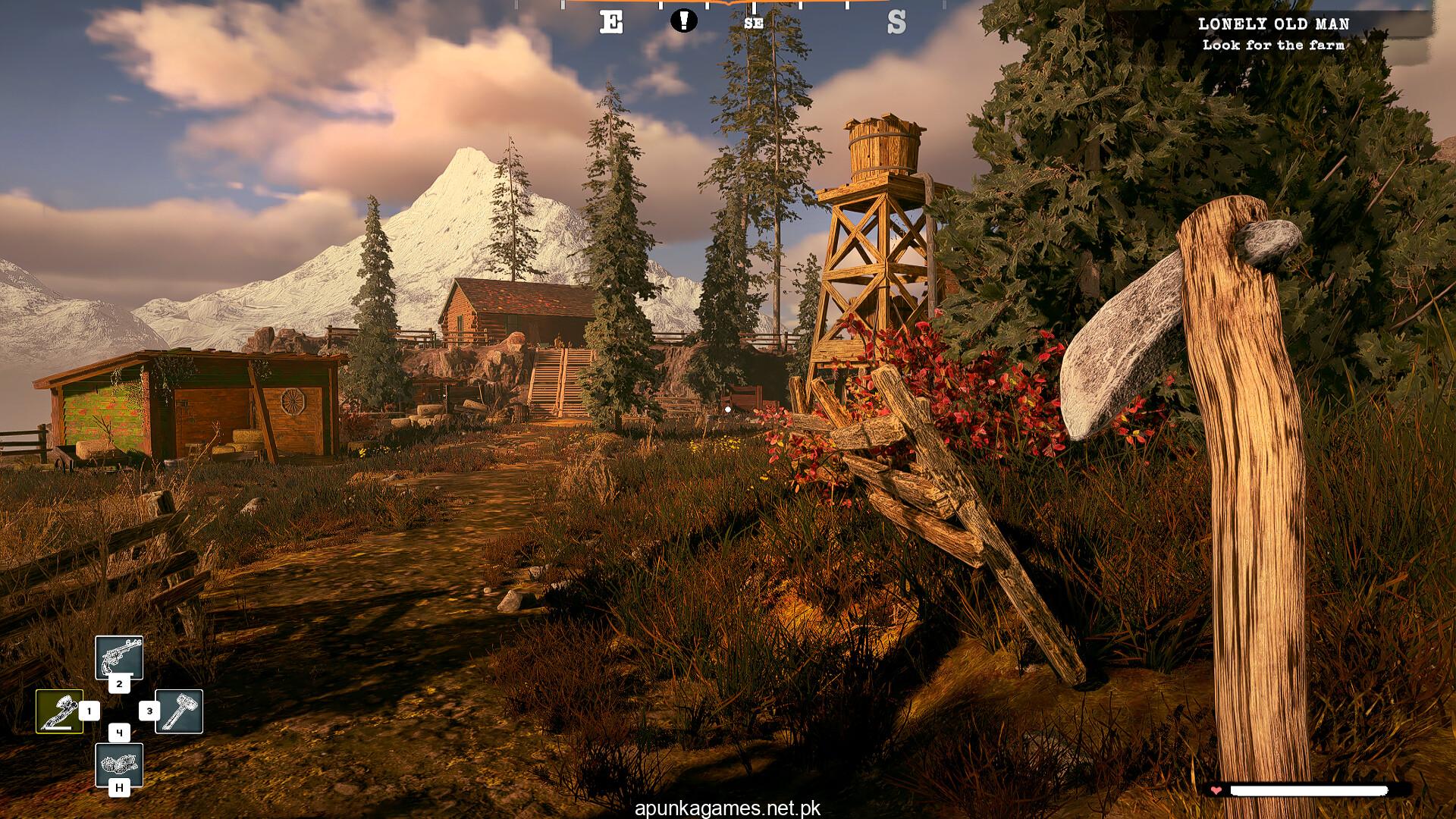 Alaska Gold Fever